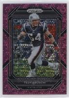 Tedy Bruschi #/15