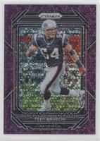 Tedy Bruschi #/35