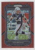 Tedy Bruschi #/35