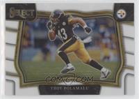 Field Level - Troy Polamalu #/35