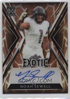 Noah Sewell #/5