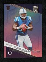 Rookies - Anthony Richardson #/999