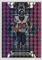 Andre Johnson #/49