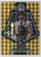 Hall of Fame - Joe Namath