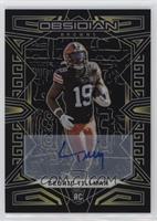 Cedric Tillman #/10