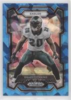 Brian Dawkins #/99