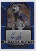 Sevyn Banks #/149