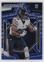 Rookies - Roschon Johnson #/49