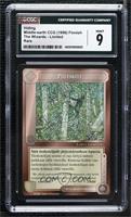 Hiding [CGC 9 Mint]