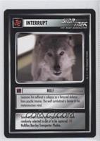 Interrupt - Wolf