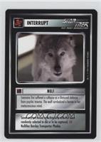 Interrupt - Wolf