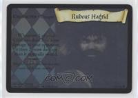 Rubeus Hagrid [EX to NM]