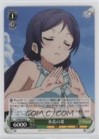 Nozomi in Swimsuit [EX to NM]