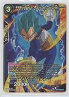 SSB Vegeta, Blaze of Passion