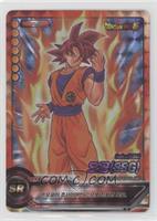 SR - Son Goku (SSG)