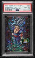 Secret - Son Gohan: SH [PSA 10 GEM MT]