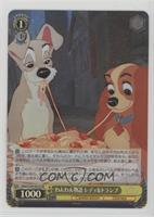 SR - Lady and the Tramp