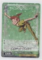 Flying Boy Peter Pan