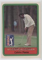 Statistical Leader - Calvin Peete