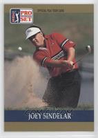 Joey Sindelar