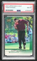 Tiger Woods [PSA 8 NM‑MT]