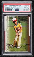 Tiger Woods [PSA 8 NM‑MT]