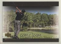 Picture Perfect Shots - Tiger Woods