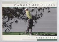 Panoramic Shots - Tiger Woods