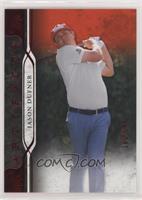 Jason Dufner #/249