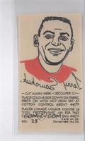 Terry Sawchuk