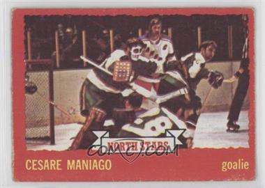 1973-74 O-Pee-Chee - [Base] - Dark Back #127 - Cesare Maniago [Good to VG‑EX]