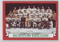 Boston Bruins Team