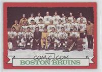 Boston Bruins Team