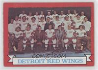 Detroit Red Wings Team