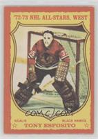 Tony Esposito