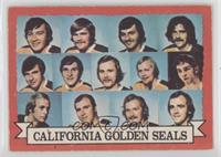 California Golden Seals Team