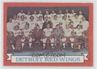 Detroit Red Wings Team