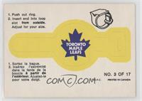 Toronto Maple Leafs Team