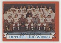 Detroit Red Wings Team