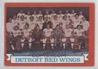 Detroit Red Wings Team [Poor to Fair]