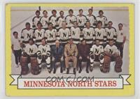 Minnesota North Stars Team