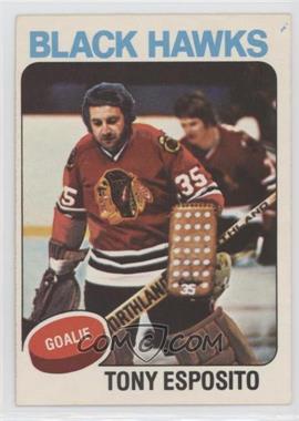 1975-76 O-Pee-Chee - [Base] #240 - Tony Esposito