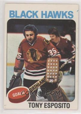 1975-76 O-Pee-Chee - [Base] #240 - Tony Esposito