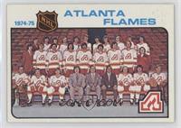 Team Checklist - Atlanta Flames Team