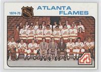 Team Checklist - Atlanta Flames Team