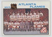 Team Checklist - Atlanta Flames Team