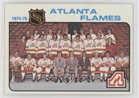 Team Checklist - Atlanta Flames Team