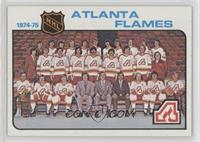 Team Checklist - Atlanta Flames Team