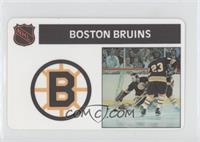 Boston Bruins