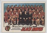 Chicago Blackhawks (Black Hawks) Team